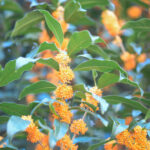 article's key visual