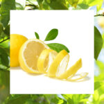 article's key visual