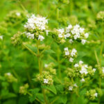 article's key visual