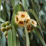 article's key visual