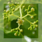 article's key visual