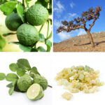 article's key visual