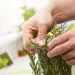 article's key visual