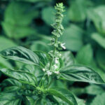 article's key visual