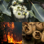 article's key visual