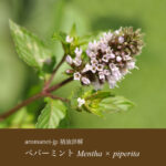 article's key visual