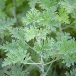 article's key visual