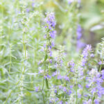 article's key visual